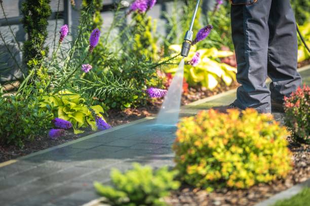 Reliable Lakewood, IL Pressure Washing Services Solutions